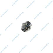      Ford Focus. 05291