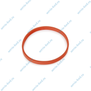    Ford Focus 1141994/24029300
