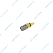    Zetec Ford Focus Rocam, . 330586