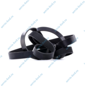 ������ ��������� �� 2,2 � AC 2006-2011 (6PK1670)